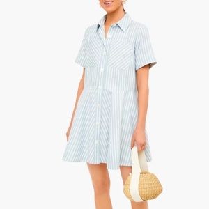 Tuckernuck Celadon green striped dress